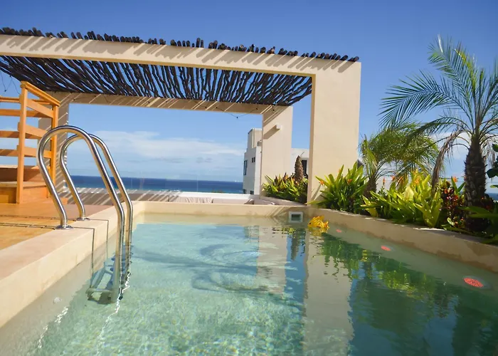 Near The Playa del Carmen