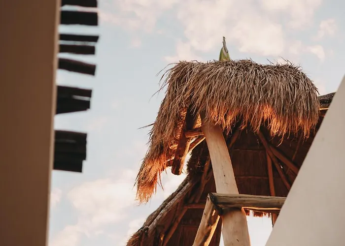 Near The Playa del Carmen